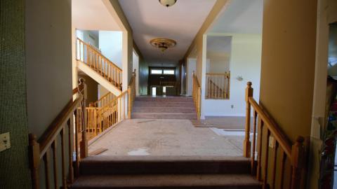 November 2018 / March 2019 - IMG_5450.jpeg