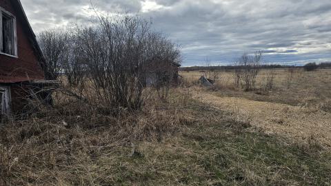 Foundered Farm photo 3