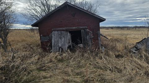 Foundered Farm photo 4