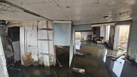 Foundered Farm photo 2