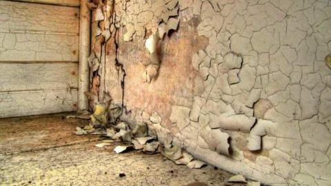 March 2012 - 8th-Line-Farm82.jpg