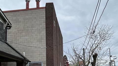 Photo from china lily factory