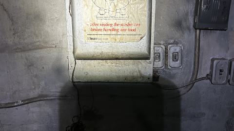 Photo from china lily factory