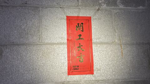 Photo from china lily factory