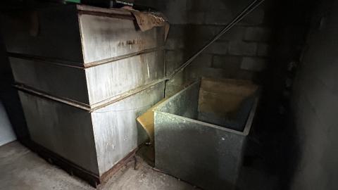 Photo from china lily factory