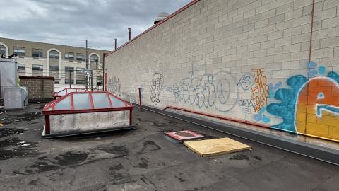 china lily factory - IMG_9811.jpeg