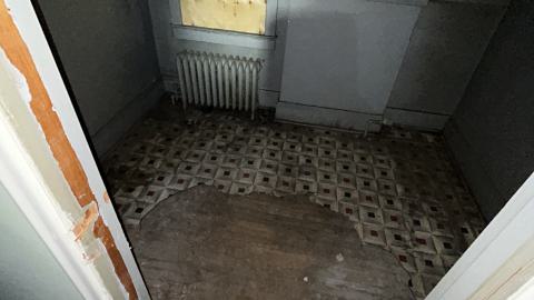 china lily factory - IMG_9803.jpeg