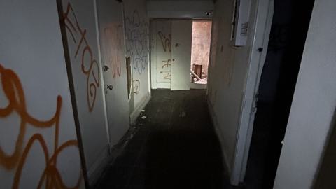 china lily factory - IMG_9793.jpeg