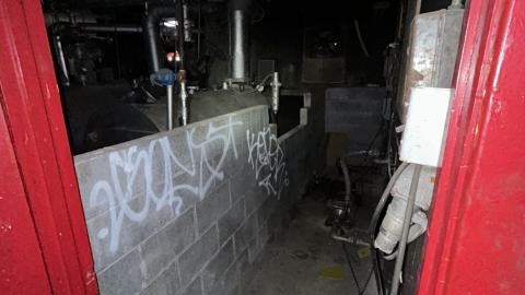 china lily factory - IMG_9789.jpeg