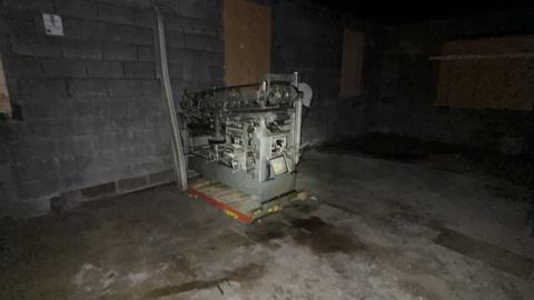 china lily factory - IMG_9788.jpeg