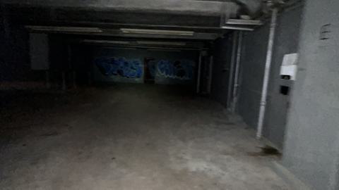 china lily factory - IMG_9783.jpeg