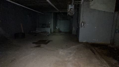 china lily factory - IMG_9777.jpeg