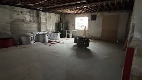 china lily factory - IMG_9772.jpeg