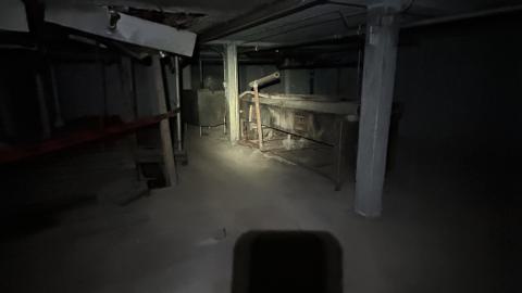 china lily factory - IMG_9762.jpeg