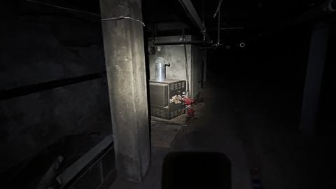 china lily factory - IMG_9760.jpeg