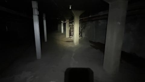 china lily factory - IMG_9758.jpeg