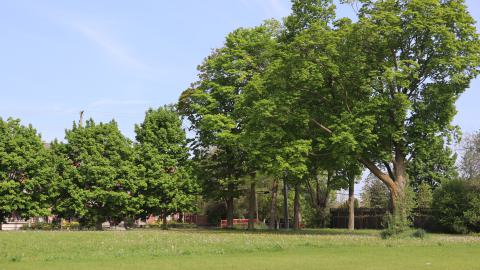 Photo from Frank Robson Incorporated