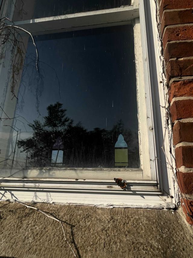 Hornby Community Centre photo 3