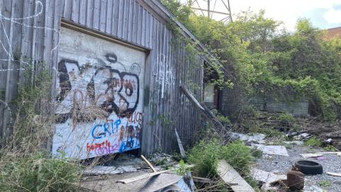 Where Did It Go - IMG_2143.jpeg