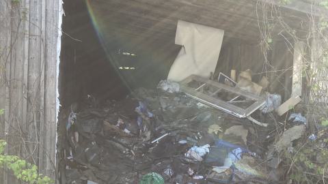 Where Did It Go - IMG_2144.jpeg