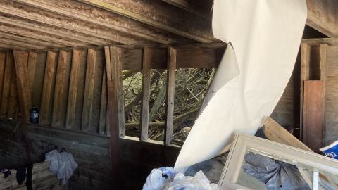 Where Did It Go - IMG_2174.jpeg