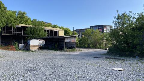 Where Did It Go - IMG_2177.jpeg