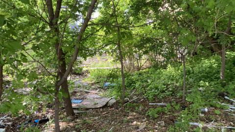 Where Did It Go - IMG_2187.jpeg