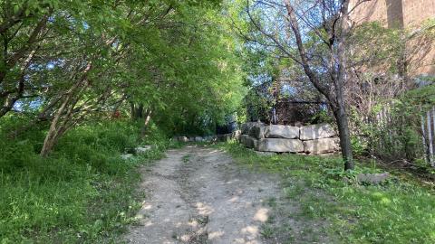 Where Did It Go - IMG_2186.jpeg