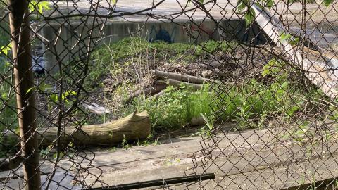 Where Did It Go - IMG_2185.jpeg