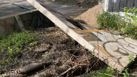 Where Did It Go - IMG_2184.jpeg