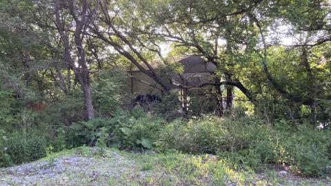 Where Did It Go - IMG_2183.jpeg