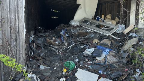 abc lumber - IMG_9946.jpeg