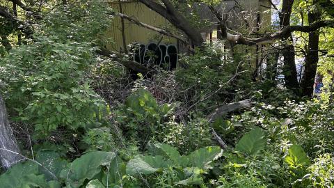 abc lumber - IMG_9981.jpeg