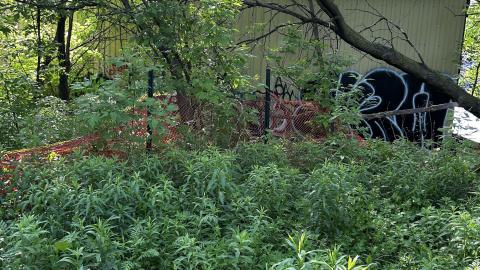 abc lumber - IMG_9982.jpeg