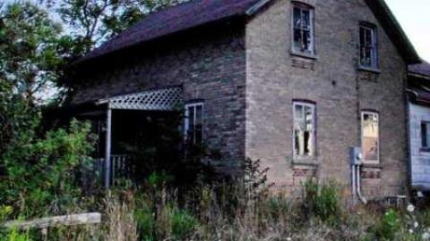 Lawn Care Nightmare - Perth East, Ontario