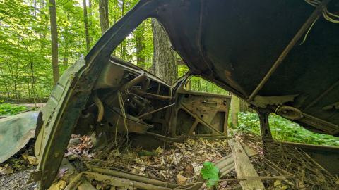 May 2024 - PXL_20240520_143025467.jpg