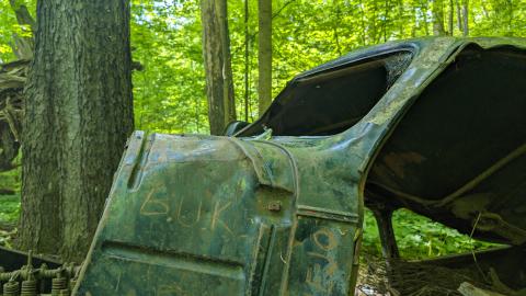 May 2024 - PXL_20240520_143013235.jpg