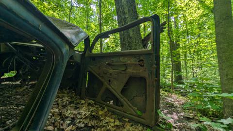 May 2024 - PXL_20240520_143057318.jpg