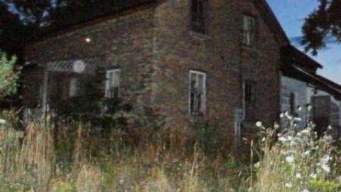 Lawn Care Nightmare photo 5