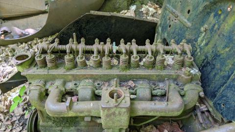 May 2024 - PXL_20240520_143147943.jpg