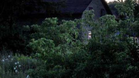 Lawn Care Nightmare photo 3