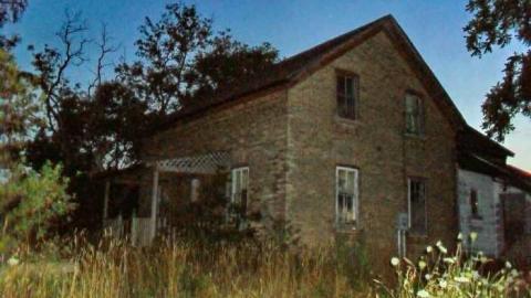 Lawn Care Nightmare photo 4