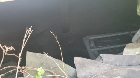 Heron-Dandie House - 20240525_190619.jpg