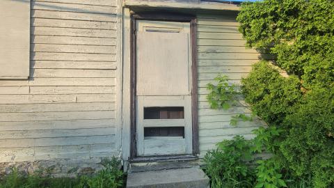 Heron-Dandie House - 20240525_190703.jpg