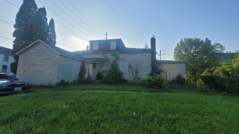 Heron-Dandie House - 20240525_190829.jpg