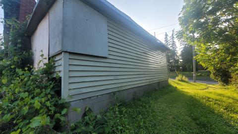 Heron-Dandie House - 20240525_190921.jpg