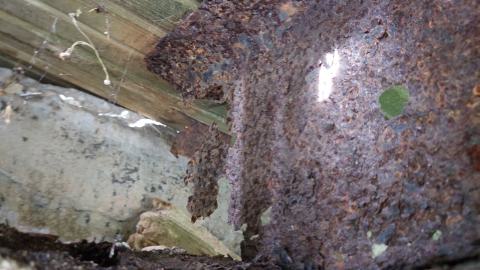 Under the bridge north #6