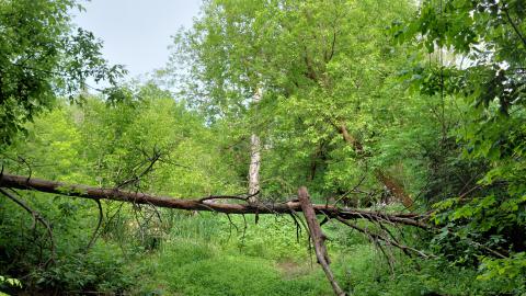 Under the bridge south #3