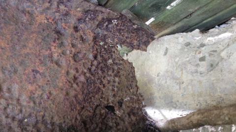 Under the bridge north #5