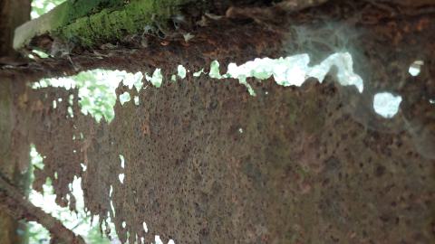 Under the bridge south #4